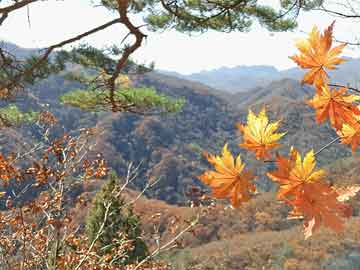 芙蓉区新能源产业大楼建设（芙蓉区新能源产业大楼建设单位）